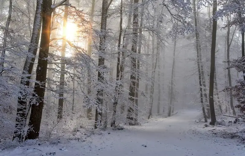 Rêver de neige Rêver de neige