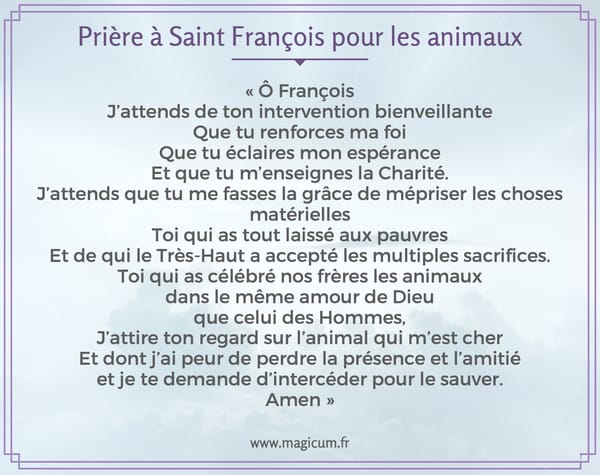 Prière à Saint François pour les animaux